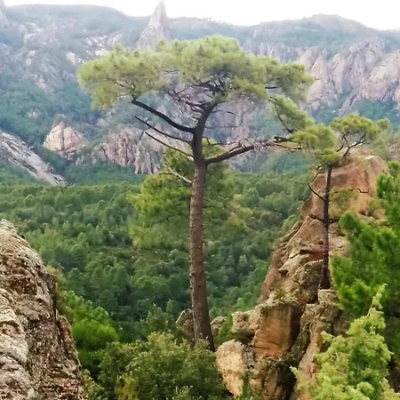 Maison Corse-du-sud Quenza