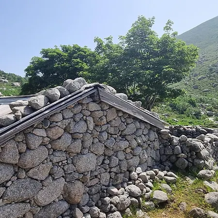 Semesterbostad Maison Corse-du-sud Quenza