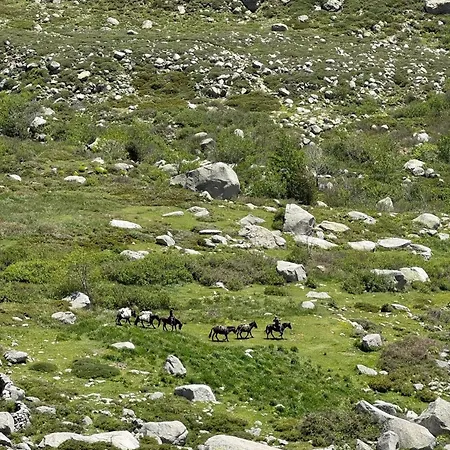 Maison Corse-du-sud *