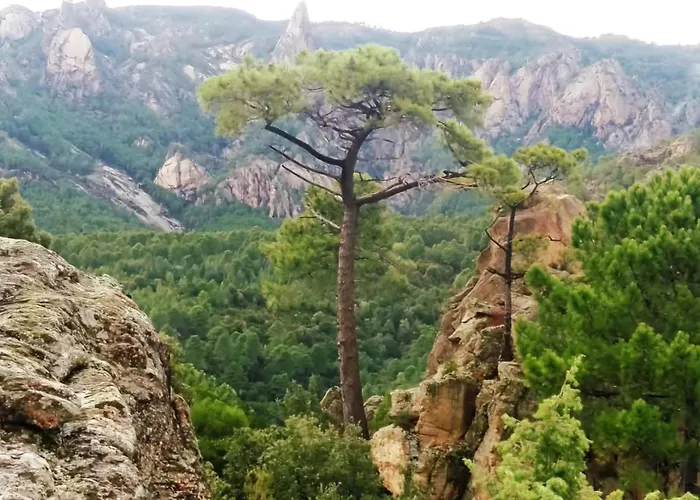 Maison Corse-du-sud Quenza