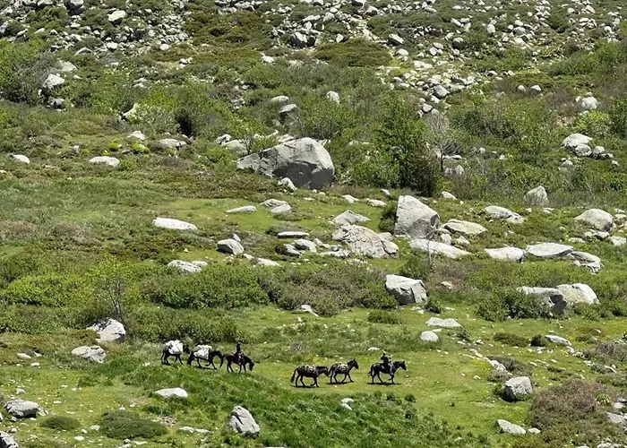 Maison Corse-du-sud *